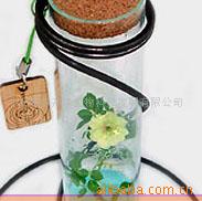 Test tube rose,Finger roses,Valentine&#39;s Day Gift