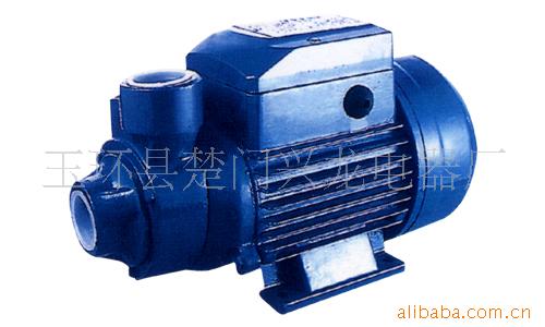供应跨境电商QB60清水泵110V/220V