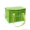 supply fashion Ice pack Picnic bag,Travel ice pack/Promotional Bags