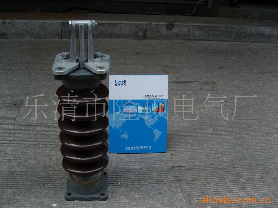 隆顶电气 电瓷绝缘子 ZS1 ZS2 ZS3 ZS5 ZS