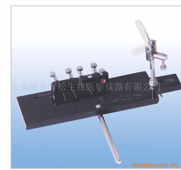 供应生理实验肌槽,肌槽，肌动器，生理肌槽
