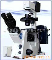 供应荧光倒置显微镜/荧光倒置显微镜