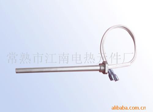 供应带各种法兰的单头电热管