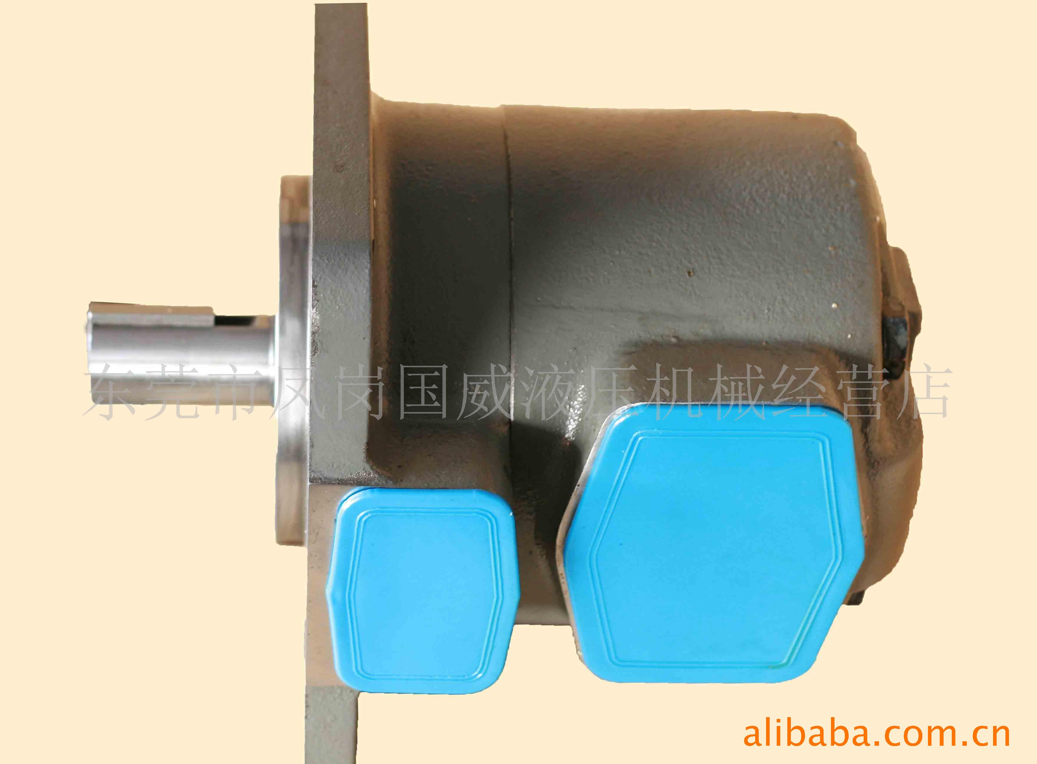 KEISTER��˹�ظ�ѹ��������ĸҶƬ��SQP4-50-86DC  ע�ܻ�Һѹ��