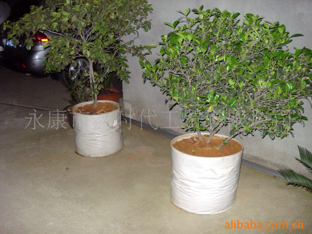 厂家批发便携式折叠花盆 折叠桶  EVA折叠桶 花草树木盆栽花盆