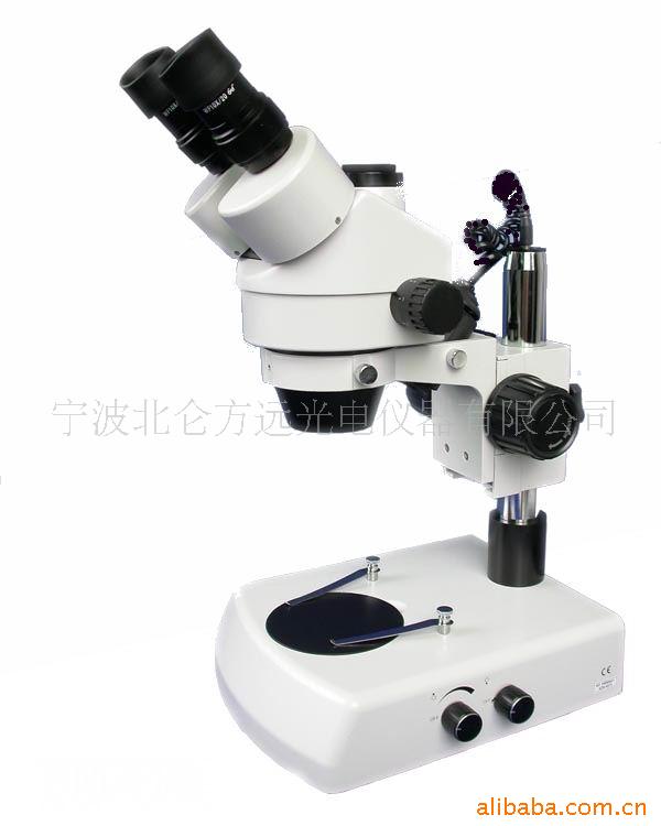 厂家直销 ZTX-45BSM01 双目体视教学显微镜 医用双目显微镜 批发