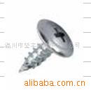 供应 圆头华司自攻钉  厂家直销