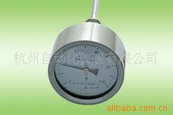 供应防爆双金属温度计