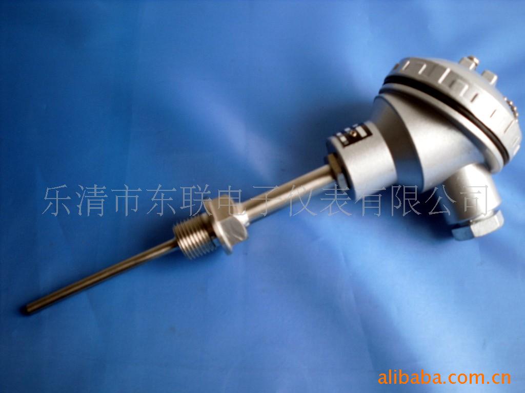 厂家现货定做批发 铠装铂热电阻 热电阻WZKP 品质保证 低价供应