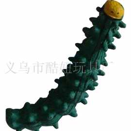 供应膨胀海洋动物、膨胀毛毛虫、膨胀海豚、膨胀乌龟