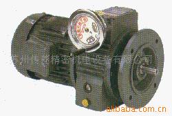 现货供应传仕无级变速减速机