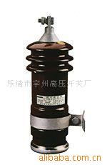 FS3～6kV系列阀式避雷器