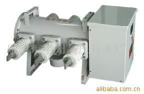 LW3-10 I II III系列六氟化硫断路器