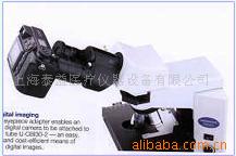 供应三目生物显微镜/上海泰益生物显微镜021-63532830