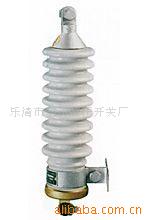 供应YW-10kV系列避雷器