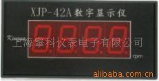 XJP-42A转速数字显示仪（型号：XJP-42A，品牌：Kingyu）