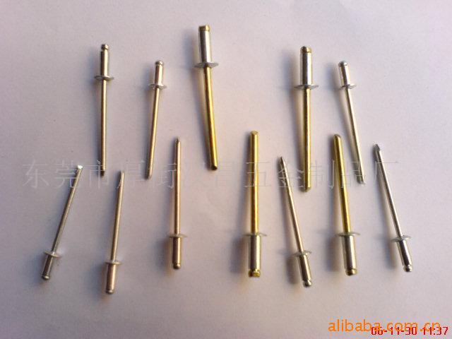 供应铝拉钉 镀金色拉钉 家具不锈钢拉钉五金拉钉