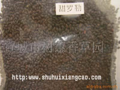 供应甜罗勒种子