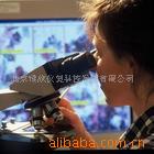 彼得罗夫·霍泽，血球计数板，细菌计数板,细菌酵母菌计数器