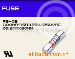 供应保险丝 5x20,6x30 玻璃、陶瓷，快断、慢断保险丝