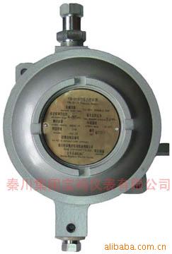 YTK系列隔爆压力控制器（防喷器用）