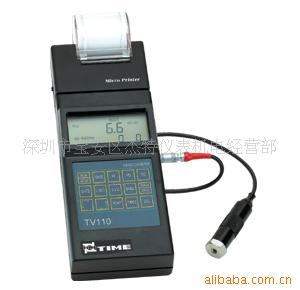 TV110/TV260/TV220/TV200/TV300/TV120/TV310便携式测振仪