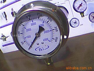 供应100MM径向带前边0-400KG不锈钢充油表,耐震压力表(图)