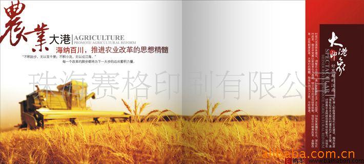 珠海房地产画册/ 珠海印刷/珠海印刷(图)