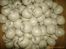 �S�Ҍ��I���a�N�۸��N50g�顢�޾���