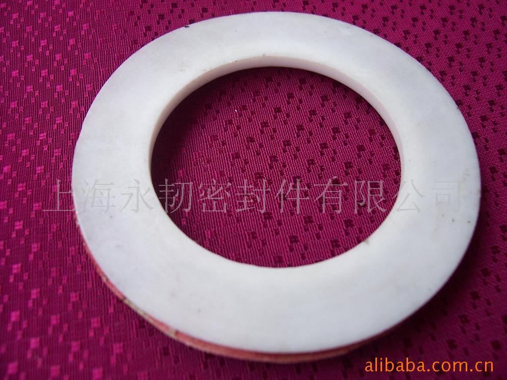 四氟包覆垫片