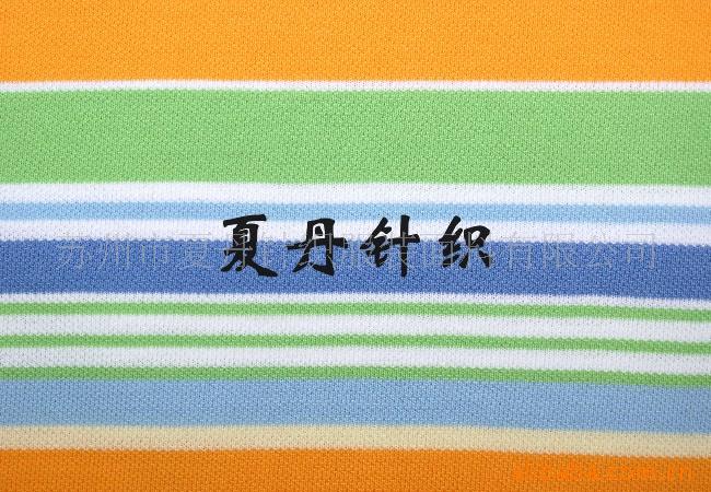 全棉调线单珠地网眼供应(图)，精梳棉，长绒棉，PIMA棉，单双拉架