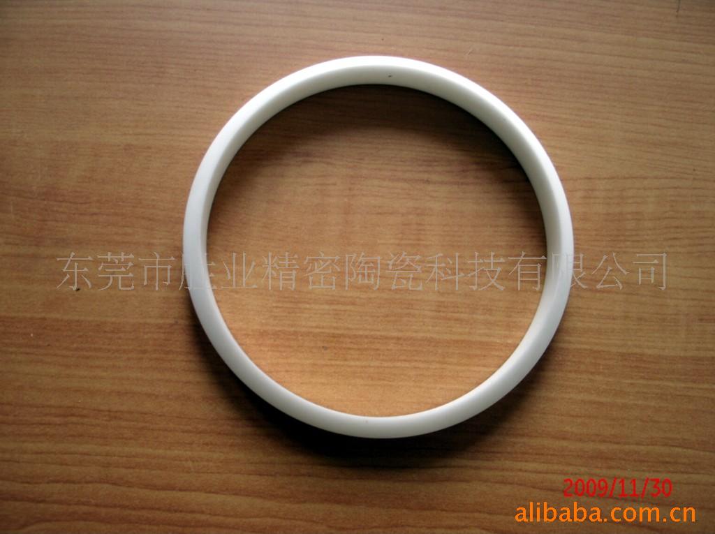 氧化铝陶瓷环 氧化锆陶瓷垫片 氧化铝陶瓷柱塞 活塞