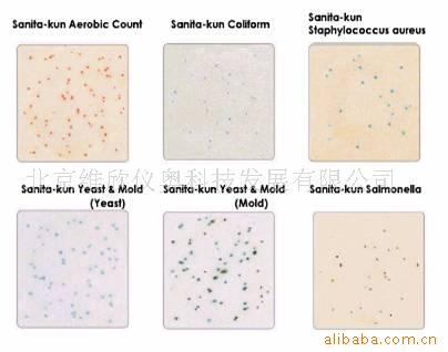 沙门氏菌检测片，沙门氏菌快速检测片板生化试剂