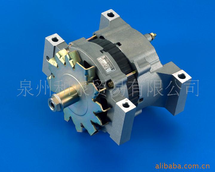 供应24SI Alternat发电机