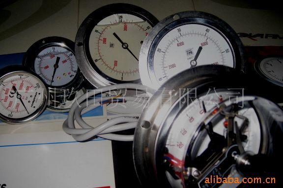 供应FIMA压力表 意大利NUOVA FIMA压力表 DS63E/A/D压力表(图)