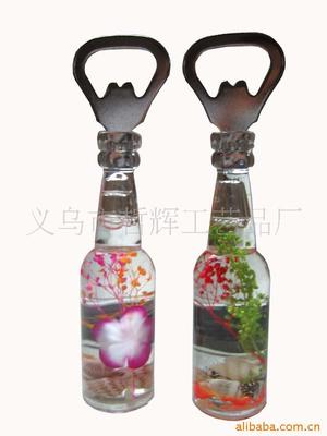 supply Promotional Gifts Bottle opener,Acrylic The wine bottle Bottle opener