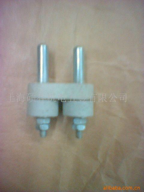 供应电炉插头，16A 250V的电热插头(图)