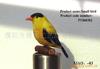supply simulation Feather Arts and Crafts Rare bird)Birds Decorative Bird Bird feathers