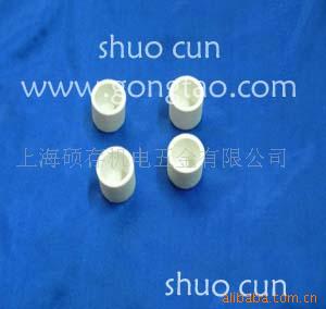 CS型图钉坩埚（ф25mm X 25mm） 坩埚(图)