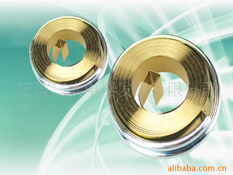 供应环保卷簧，发条(图)