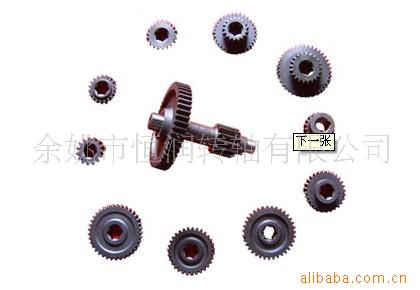 供应非标准齿轮(图)加工
