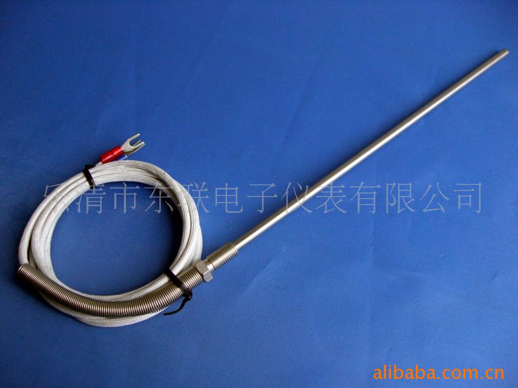 东联电子仪表 厂家大量批发热电偶WRNT-302 高品质 欢迎来电订购