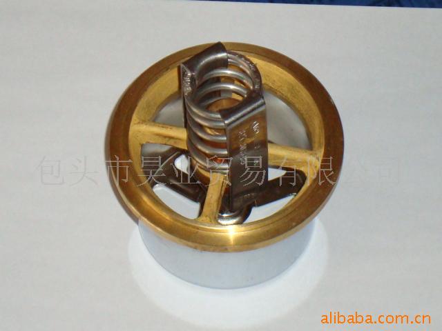 供应特雷克斯TEREX3303  用03076489节温器  特雷克斯配件