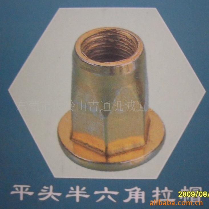 供应优质平头不锈钢半六角拉帽