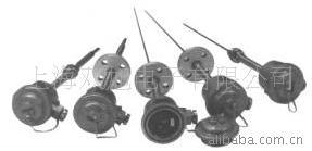 Temperature Transmitter SBWR-2480 , SBWR2480