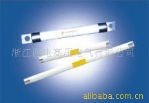 供应高压限流熔断器 西电 电工电气 高压熔断器 量大从优