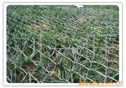 供应勾花网，环形网，菱形网，铁丝网
