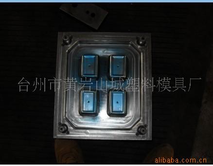 注塑保鲜盒模具供应   厂家供应注塑模具 提供