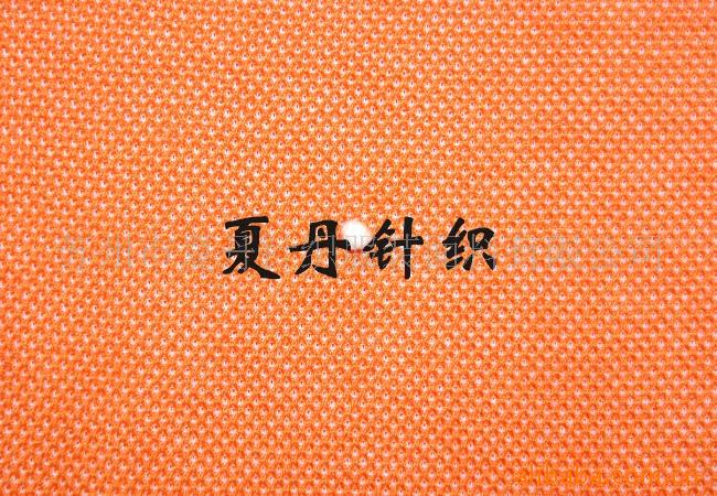 ˿���޵�˫�����۲���Ӧ(ͼ)��������PIMA���������POLO��