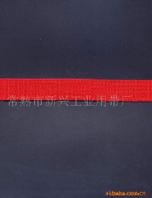 供应优质PP带 厂家直销